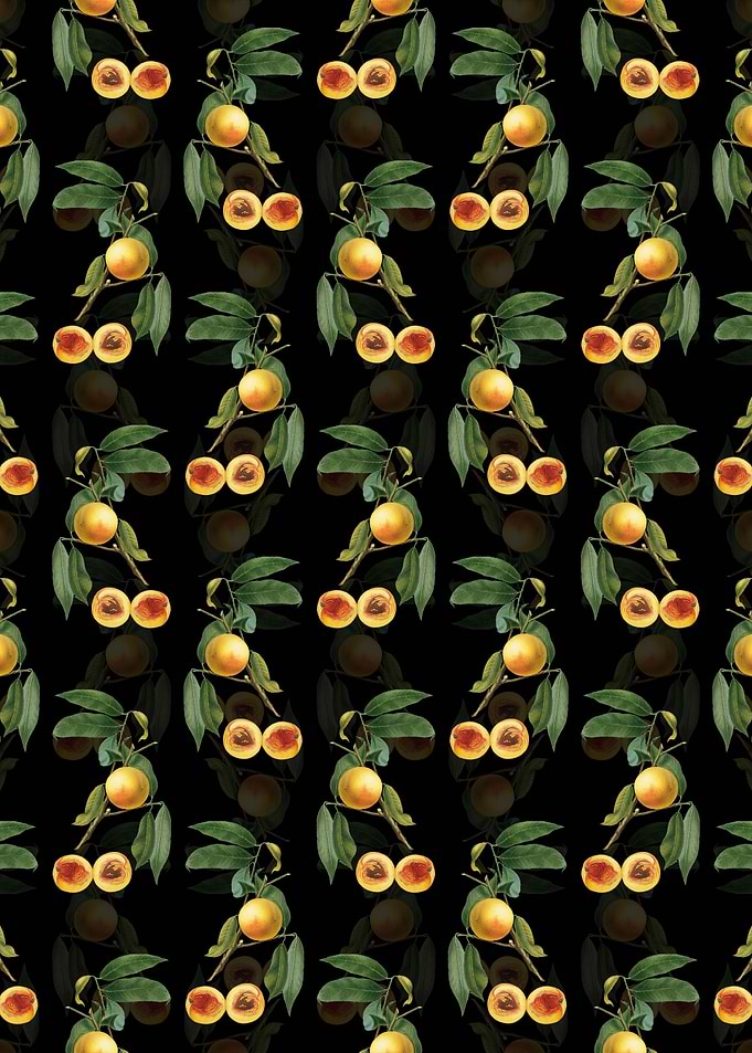 Black Floral Peach Pattern