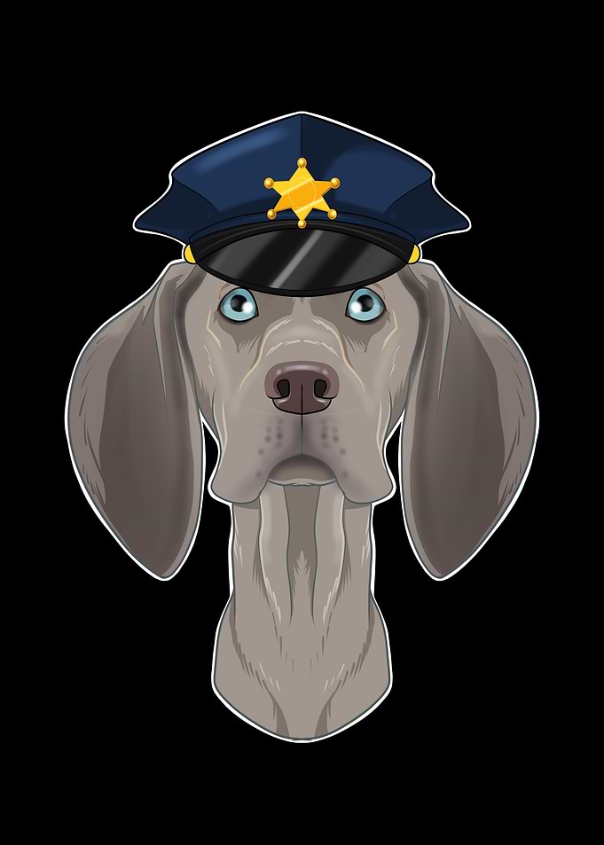 Police Weimaraner Canine