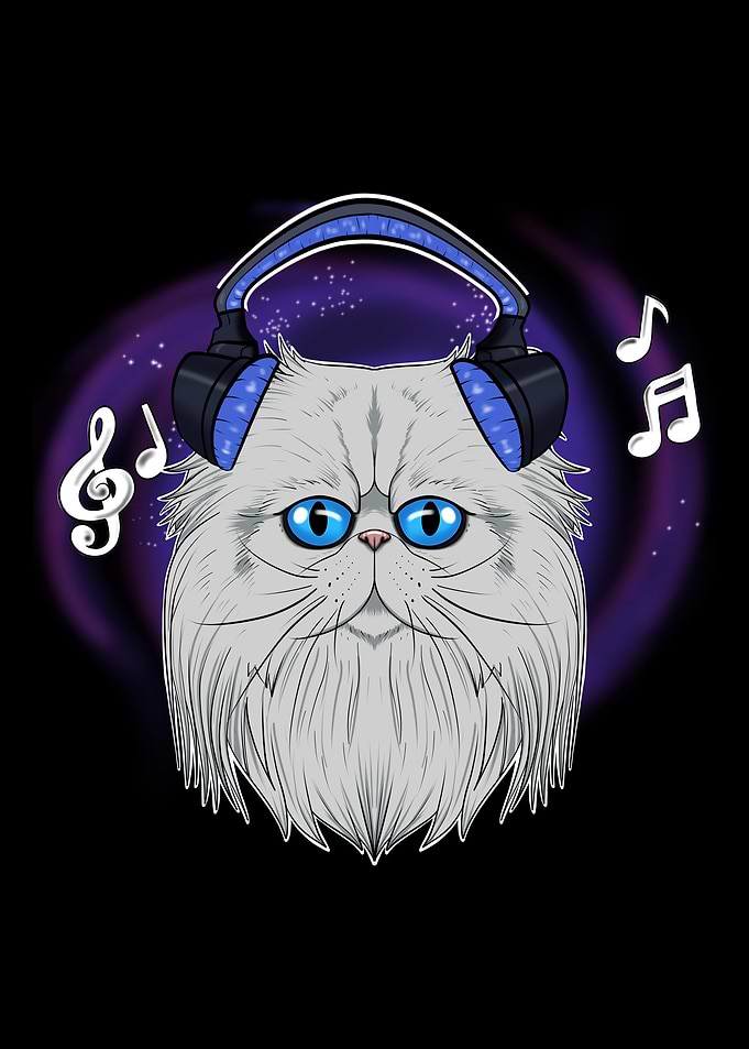 Cute Persian Cat I Music