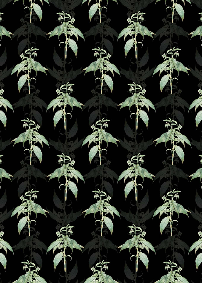 Commelina Zanonia Pattern