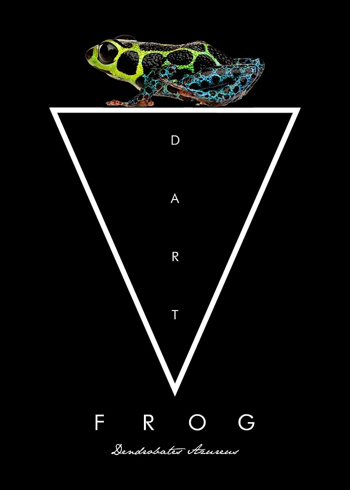 Mimic Poison Dart Frog