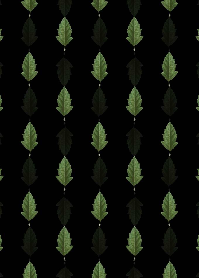 Floral Crabapple Pattern