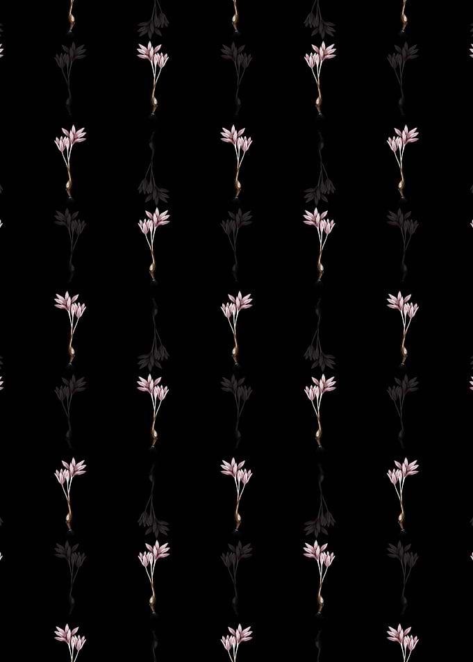 Autumn Crocus Pattern
