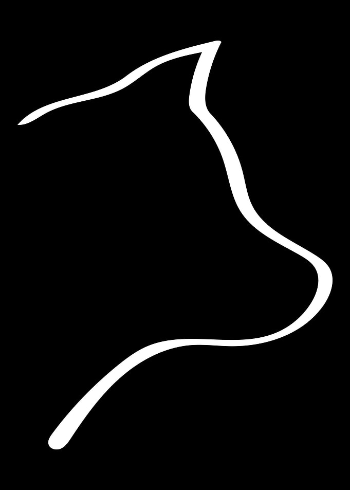 Shiba Inu Line Art Minimal