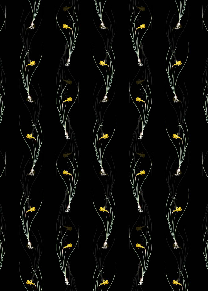 Floral Daffodil Pattern