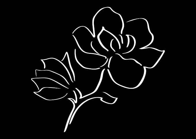 Magnolia Line Art Minimal
