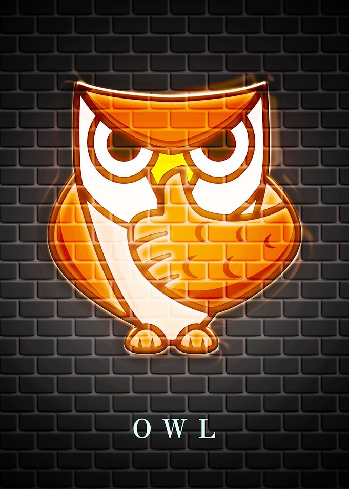 OWL Animal