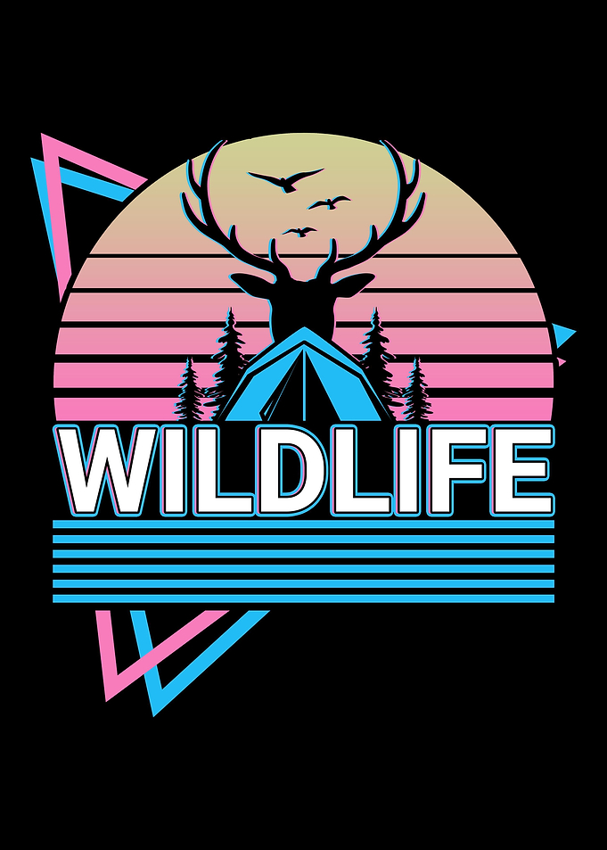 Wildlife Camping Reindeer
