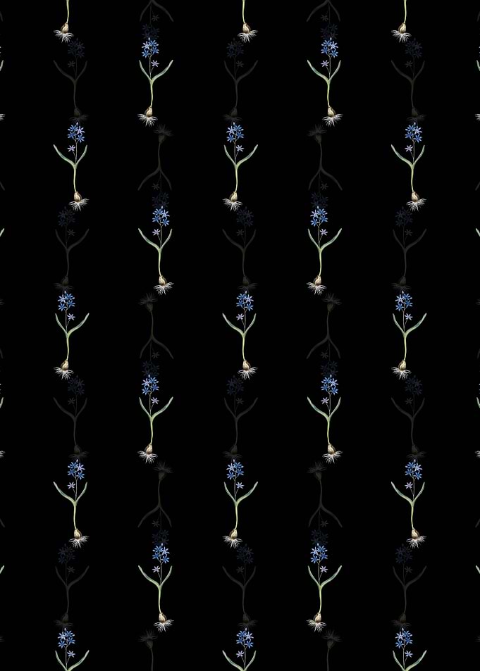Alpine Squill Pattern