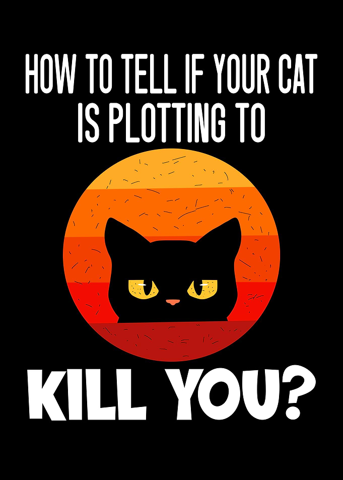 To Tell If Cat Is Plotting