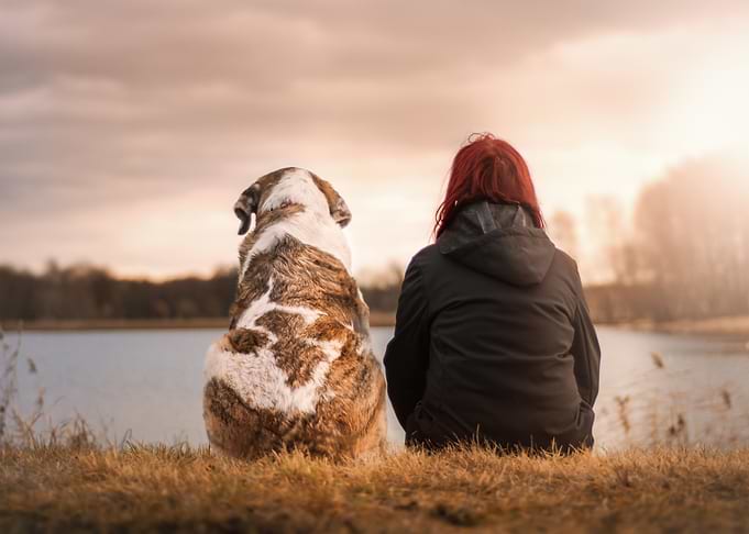 Cute Dog