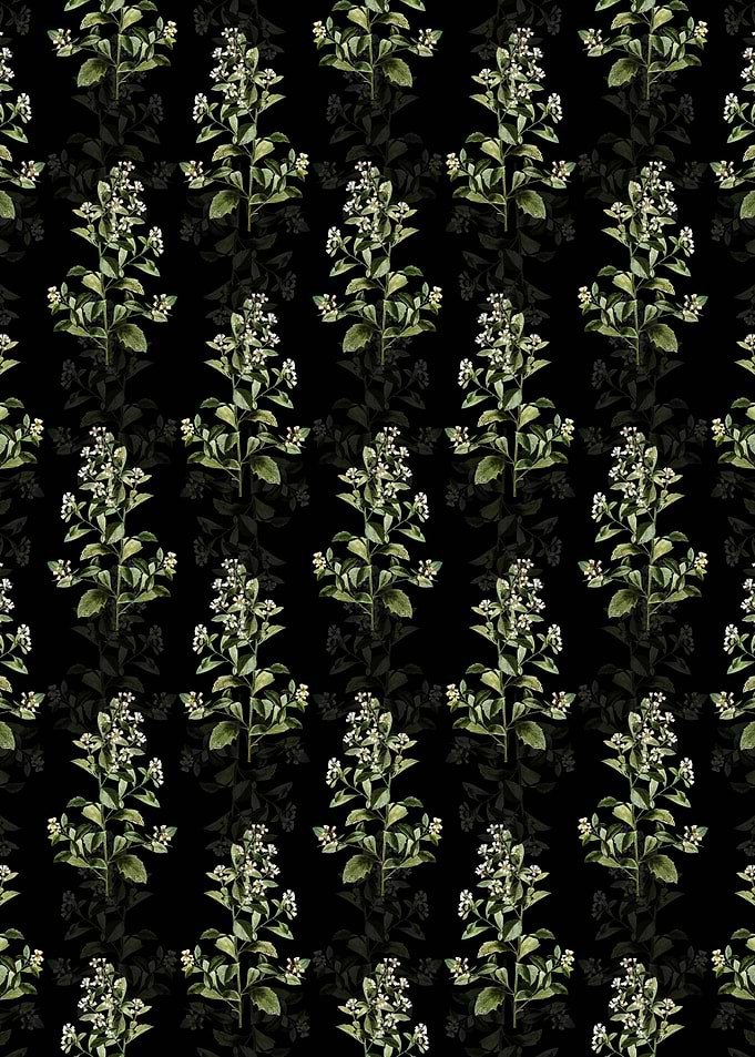 Eastern Baccharis Pattern