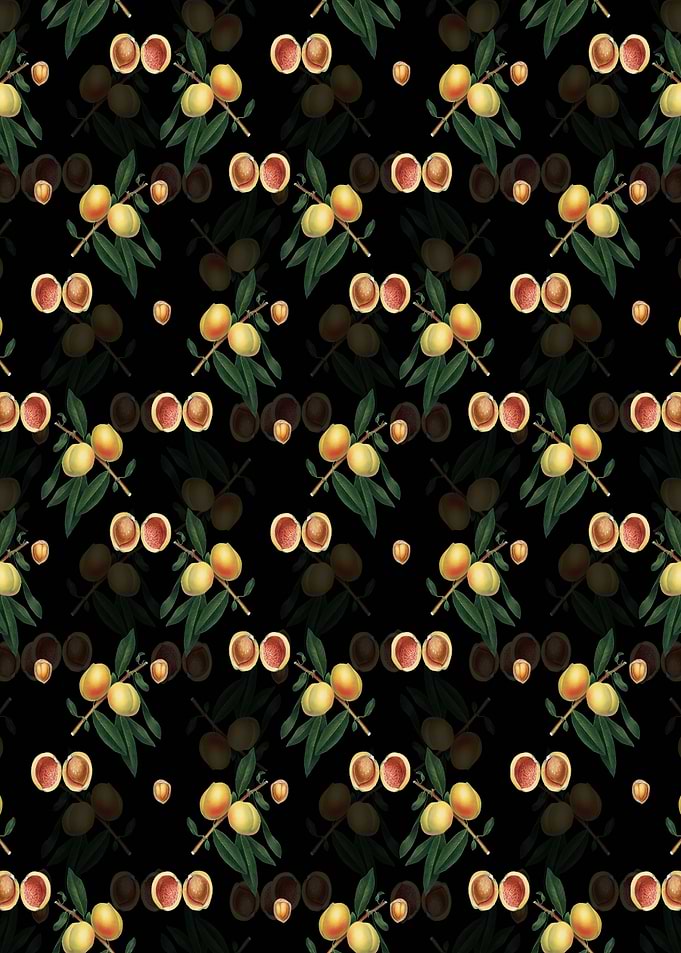Black Floral Peach Pattern