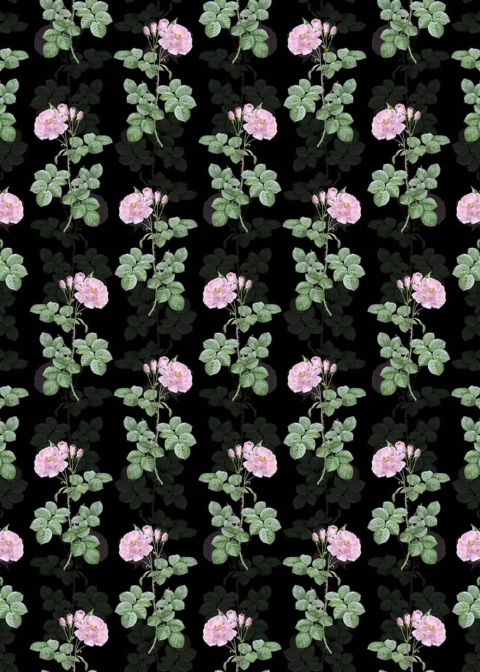 Floral Damask Rose Pattern