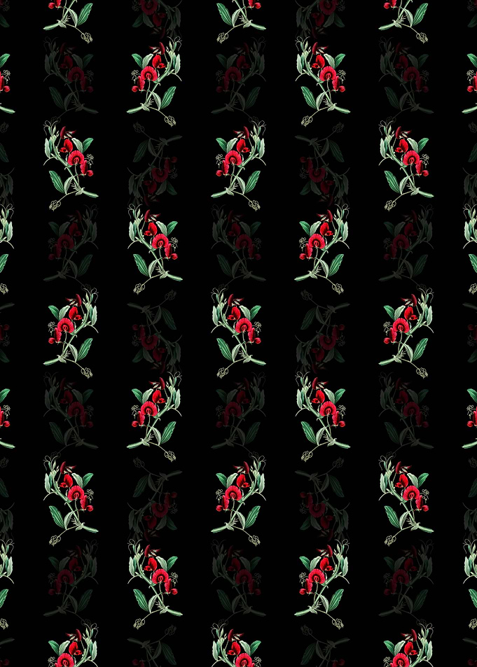 Tangier Pea Flower Pattern