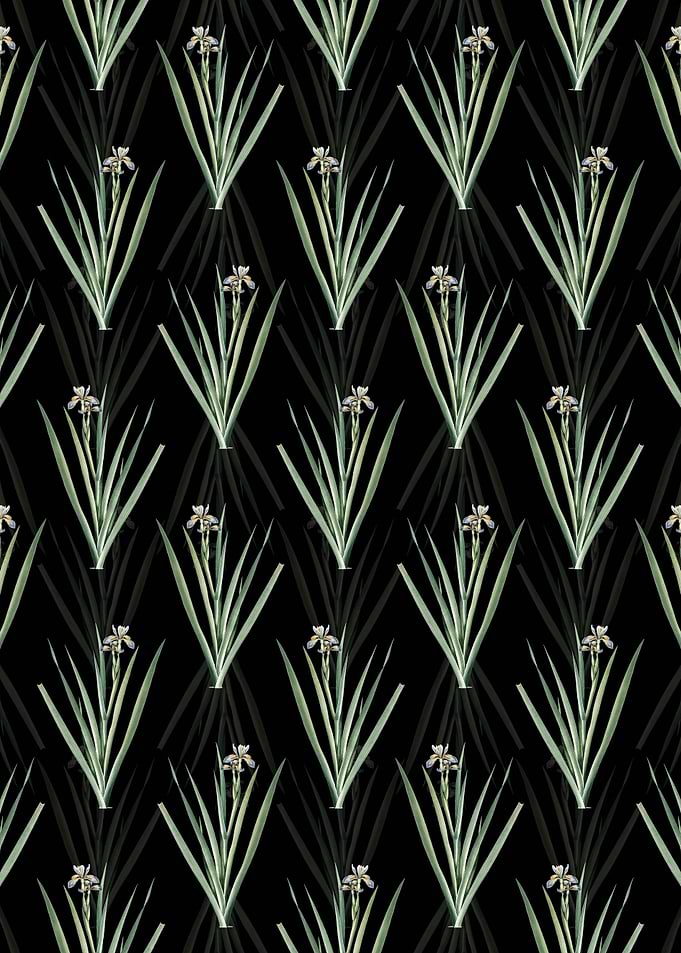 Stinking Iris Pattern