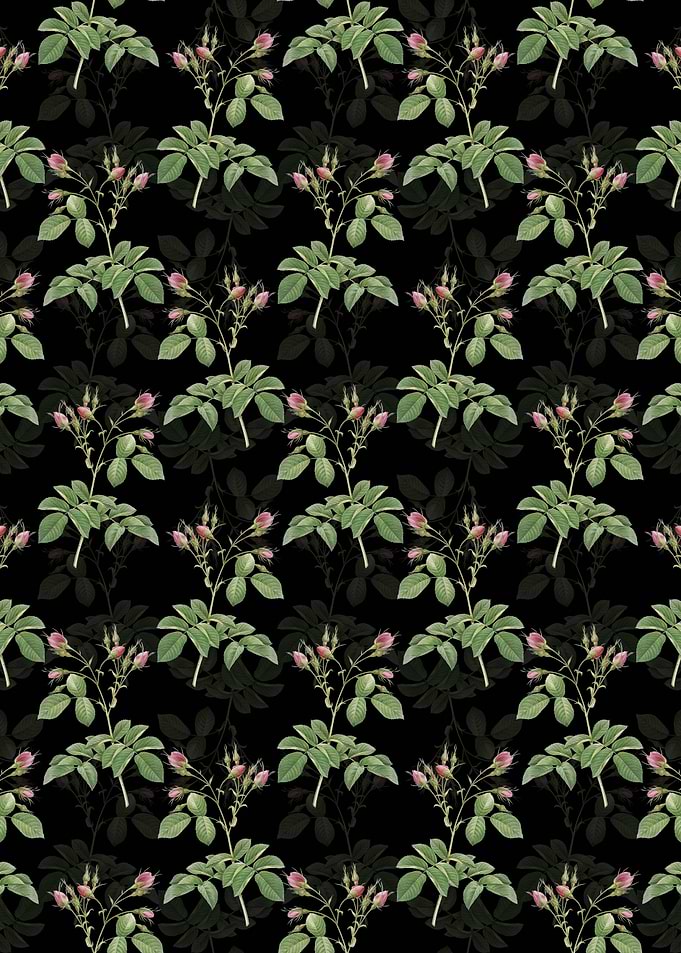 Floral Evrats Rose Pattern