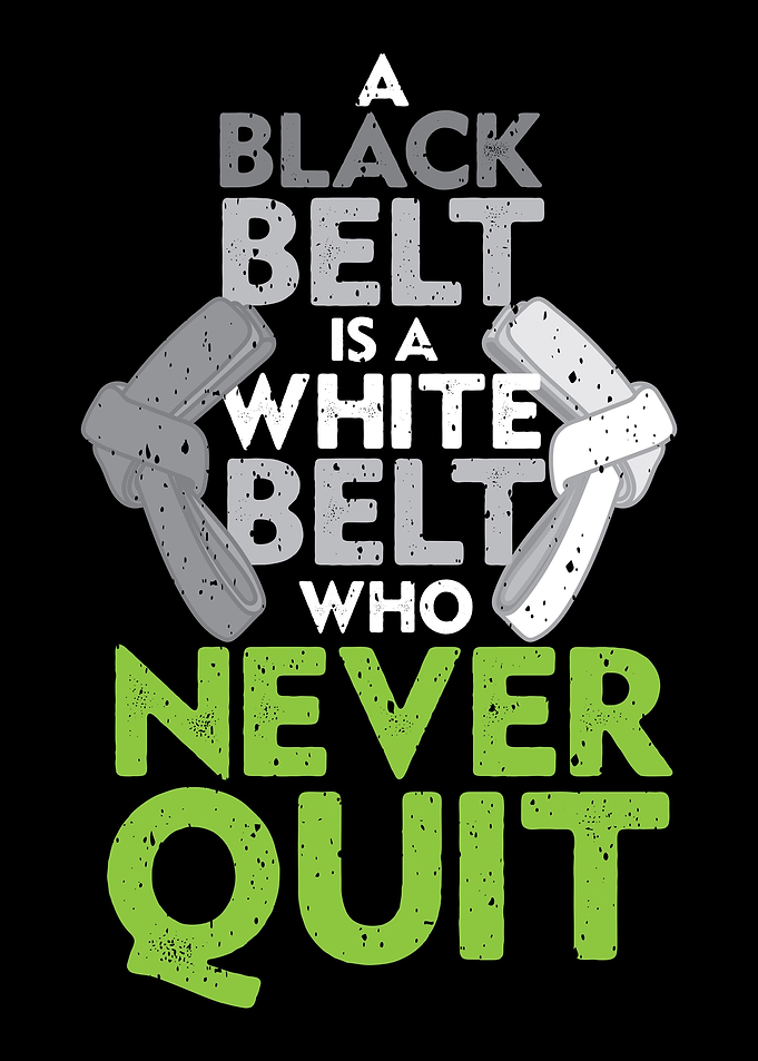 BJJ MMA Brazilian Jiu Jits
