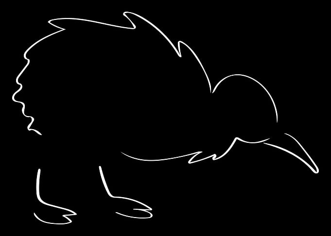 Kiwi Line Art Minimal