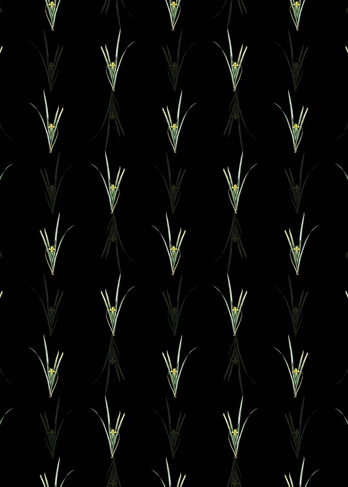 Floral Yellow Iris Pattern