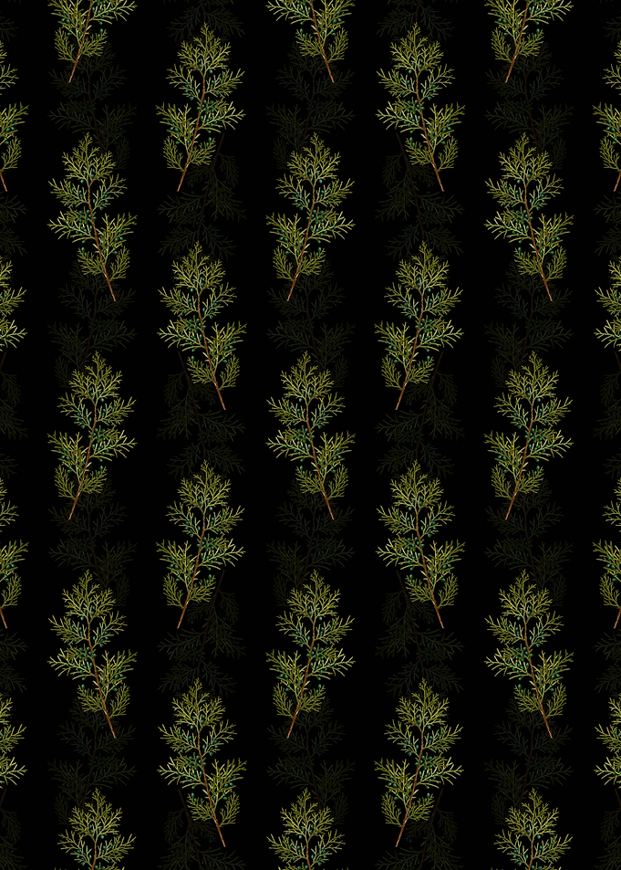 Virginian Juniper Pattern