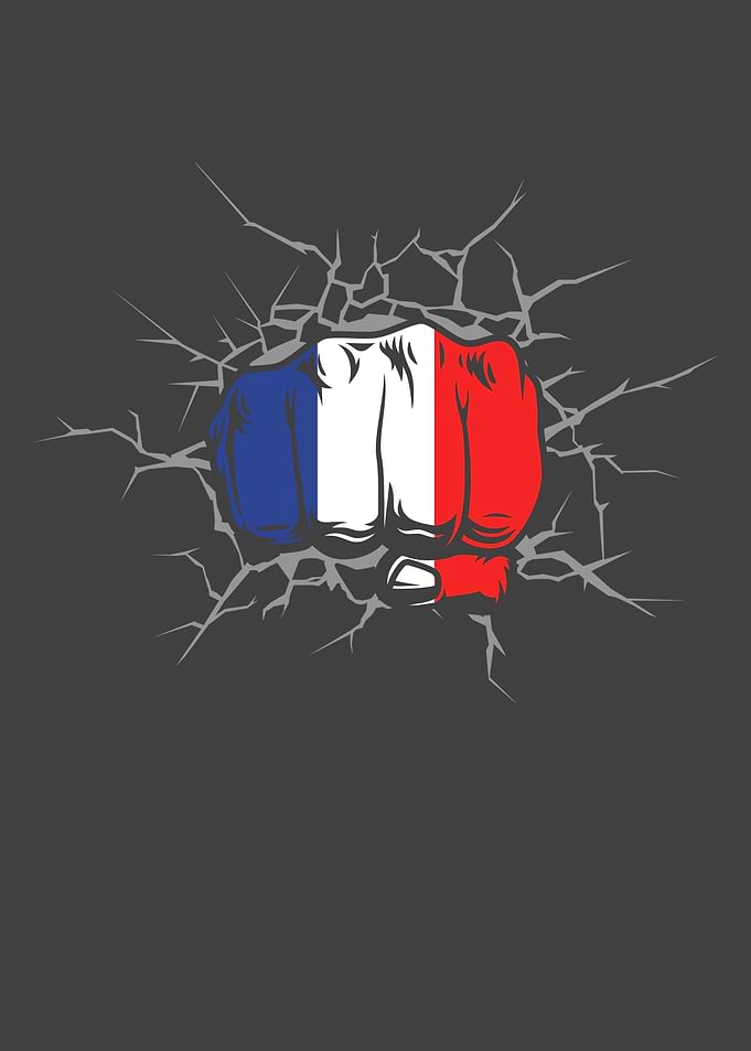 France Flag Fist