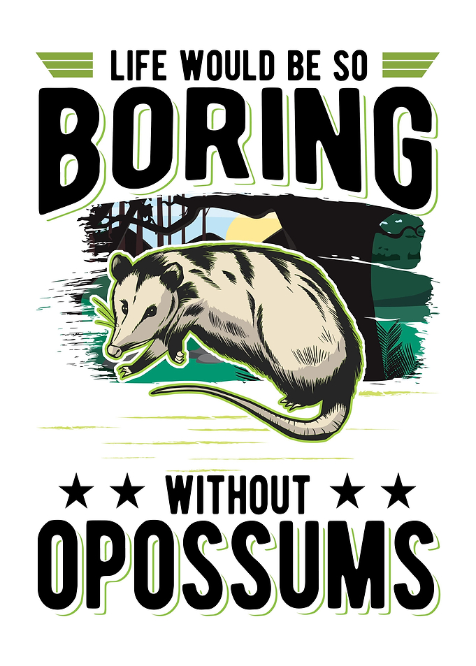 Opossum Gift Possum