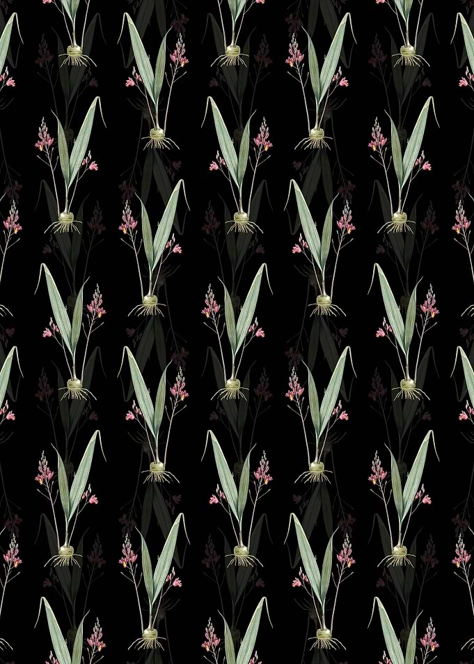 Floral Pine Pink Pattern