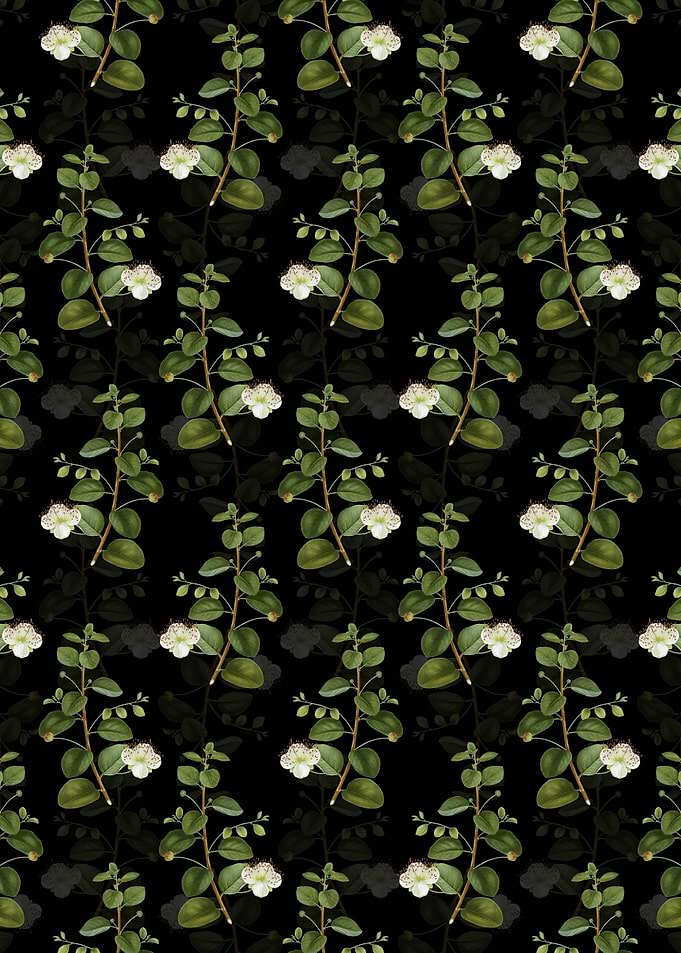 Floral Caper Plant Pattern