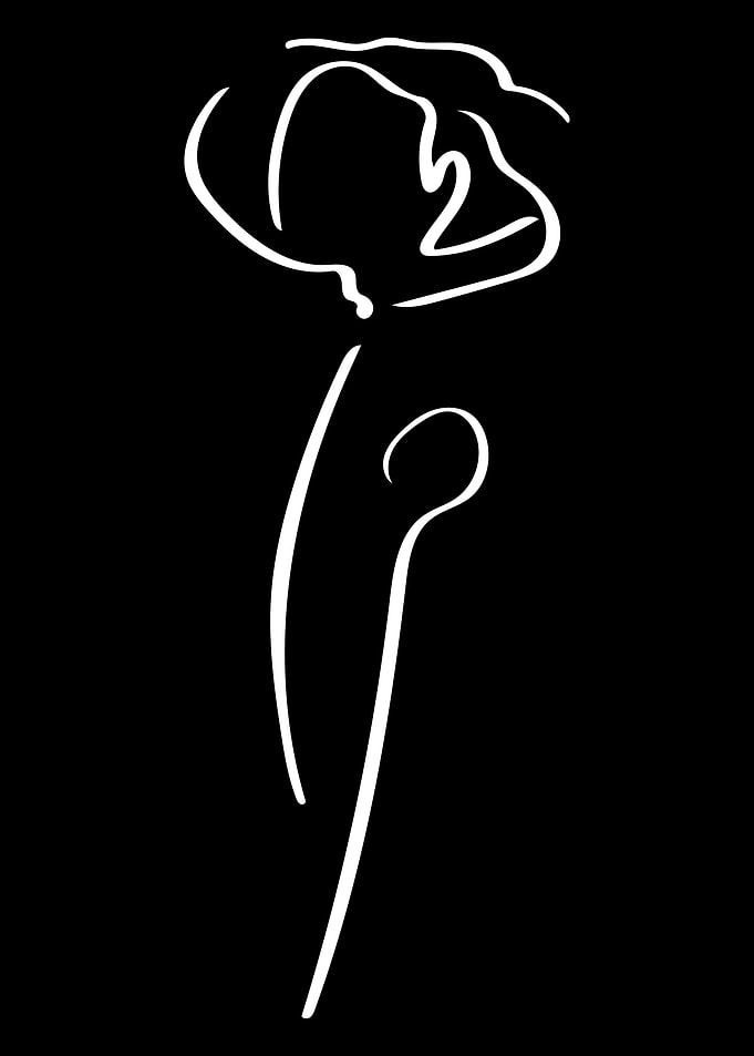 Poppy Line Art Minimal