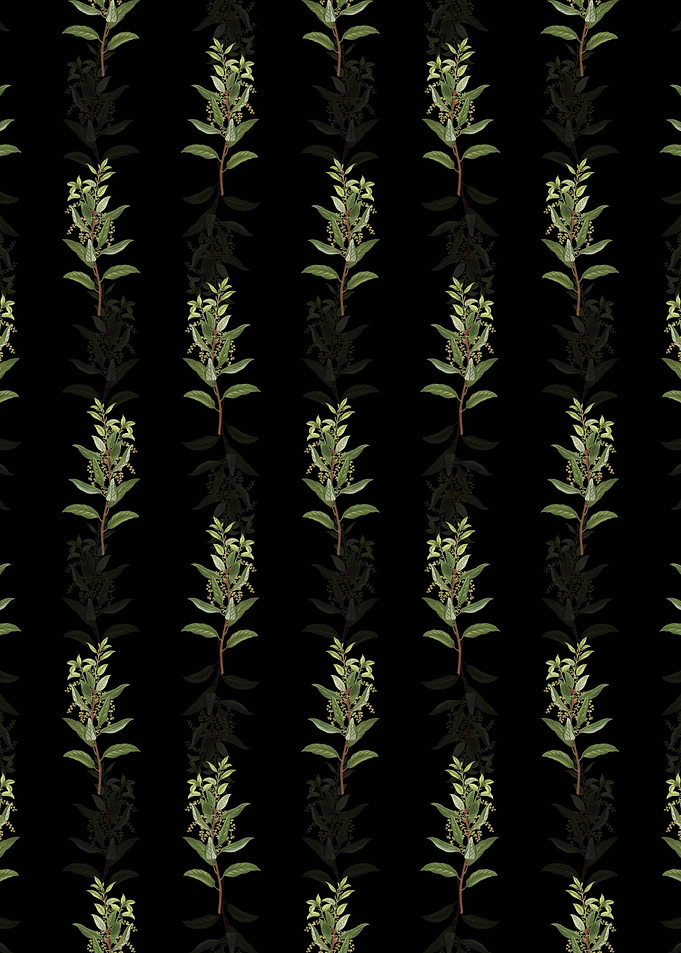 Evergreen Oak Pattern