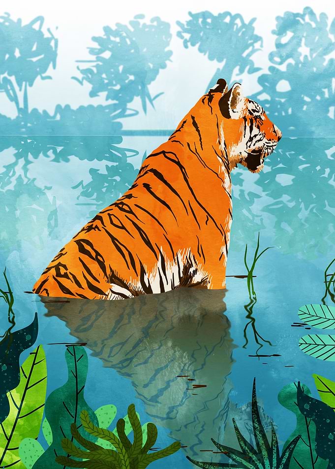Tiger Creek