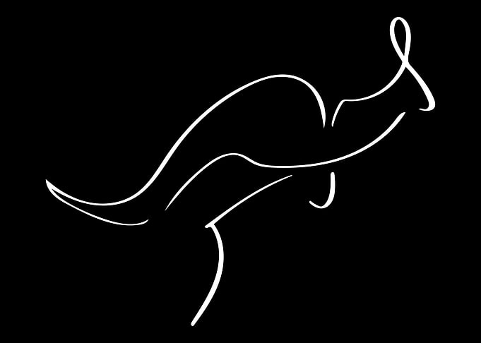 Kangaroo Line Art Minimal