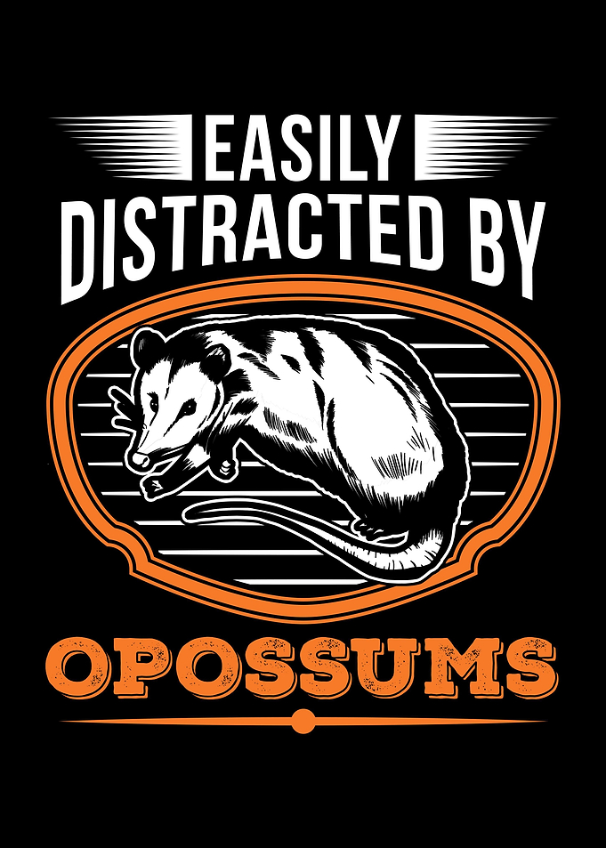 Opossum Gift Possum