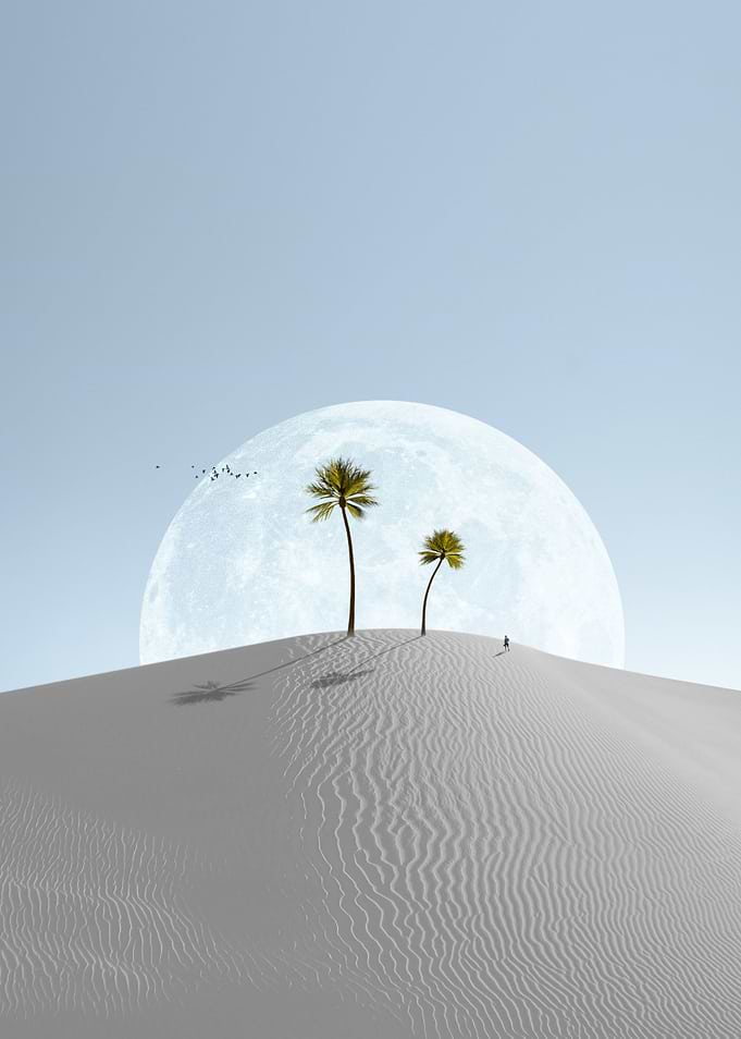 Oasis