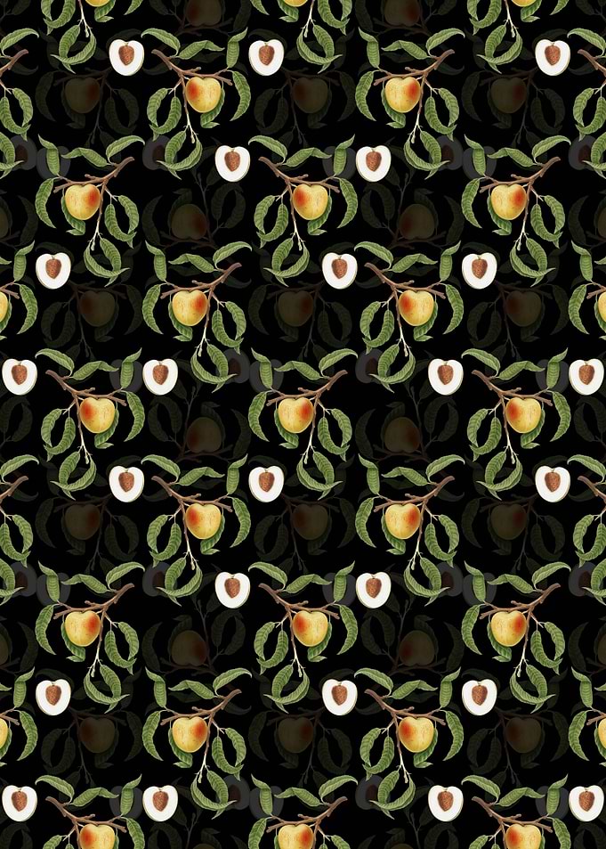 Black Floral Peach Pattern