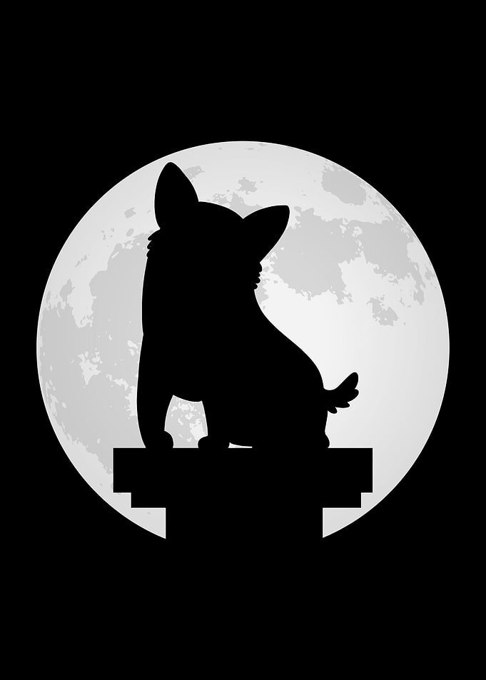 Moon Silhouette Corgi
