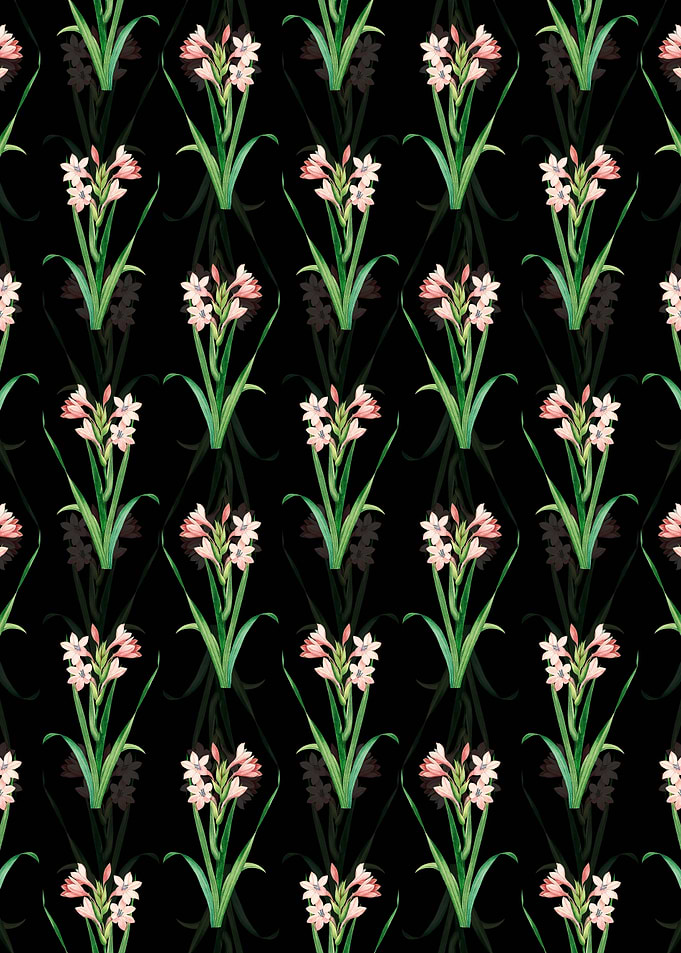 Gladiolus Saccatus Pattern