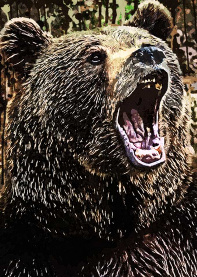 Angry Bear
