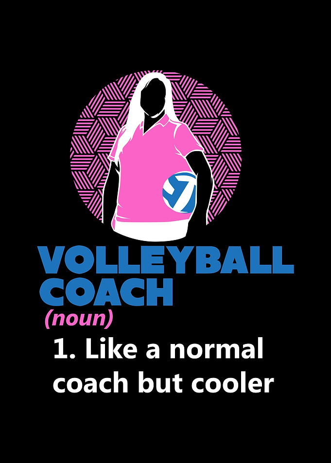 Volleyball Trainer