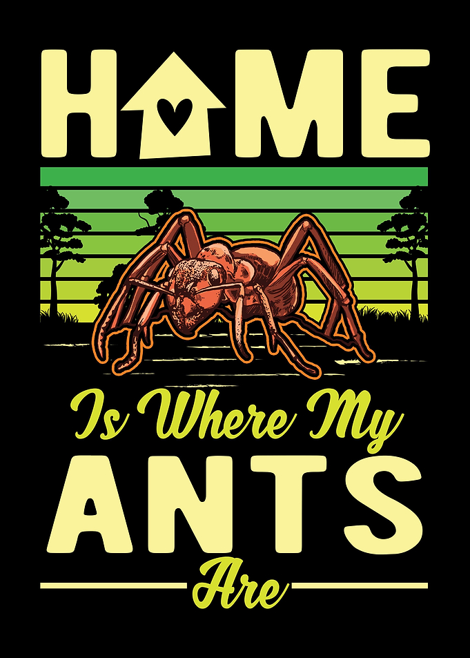 Ant Farm Ant Keeper