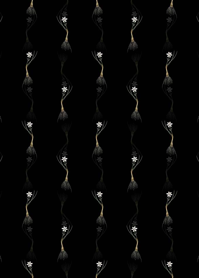 Black Snowdon Lily Pattern