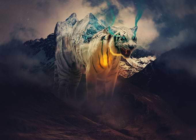 Rock Tiger