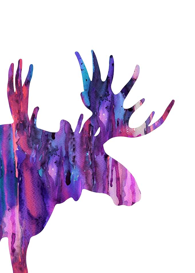 Moose