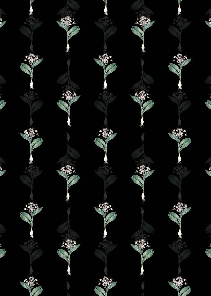 Pygmy Hyacinth Pattern