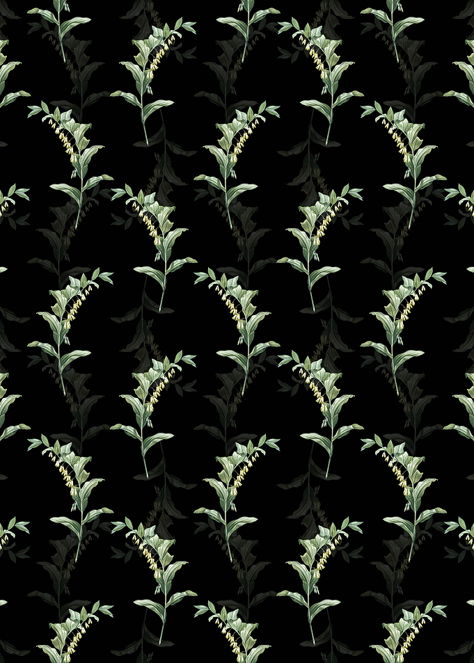 Solomons Seal Pattern