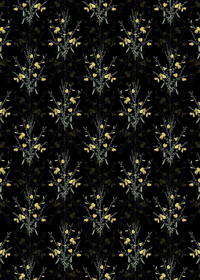 Black Yellow Broom Pattern