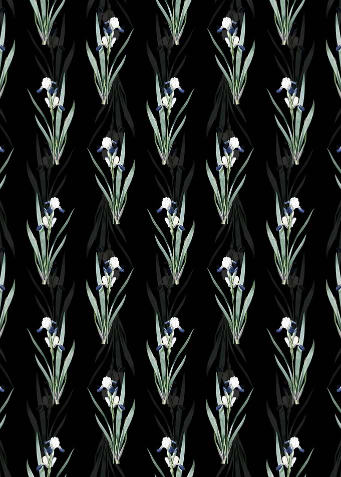 Tall Bearded Iris Pattern
