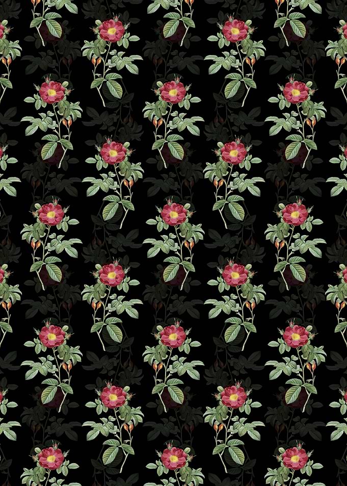 Red Portland Rose Pattern