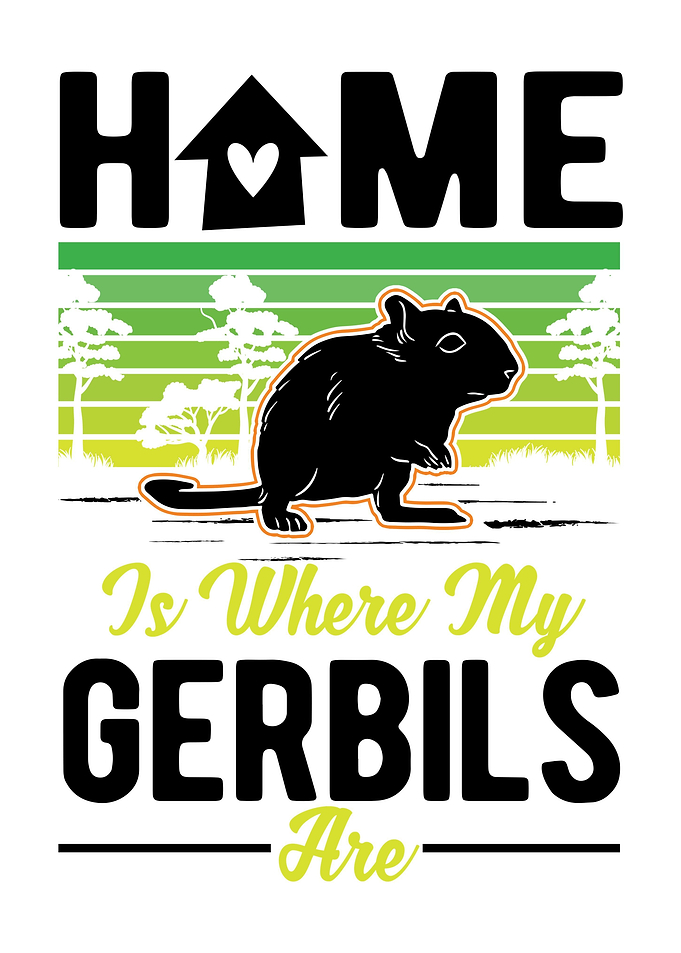 Gerbil Racing Rat